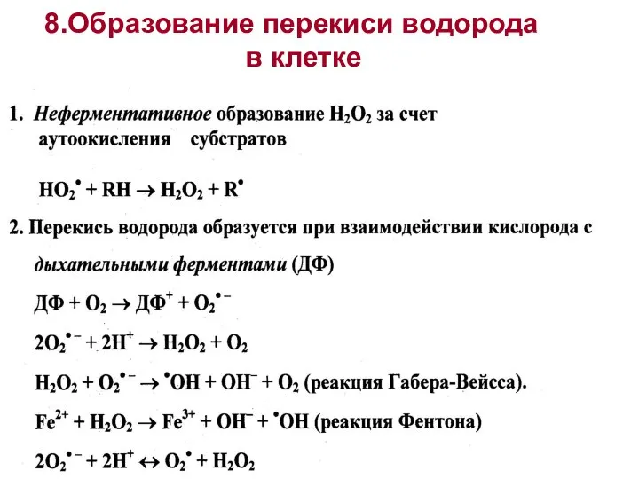 Образование перекиси водорода в клетке