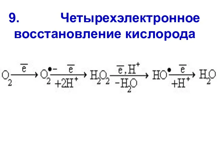 9. Четырехэлектронное восстановление кислорода