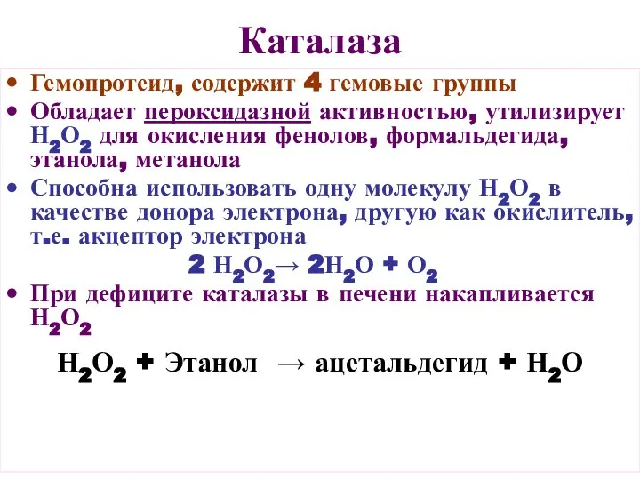 Каталаза Гемопротеид, содержит 4 гемовые группы Обладает пероксидазной активностью, утилизирует Н2О2