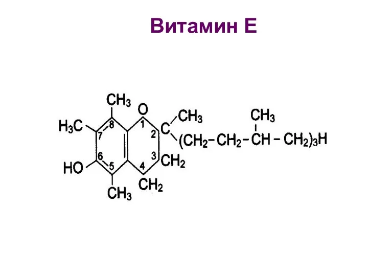 Витамин Е