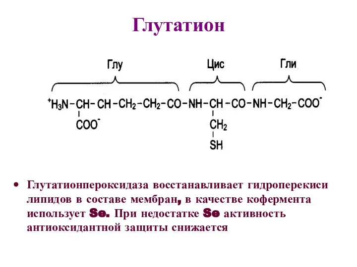 Глутатион Глутатионпероксидаза восстанавливает гидроперекиси липидов в составе мембран, в качестве кофермента