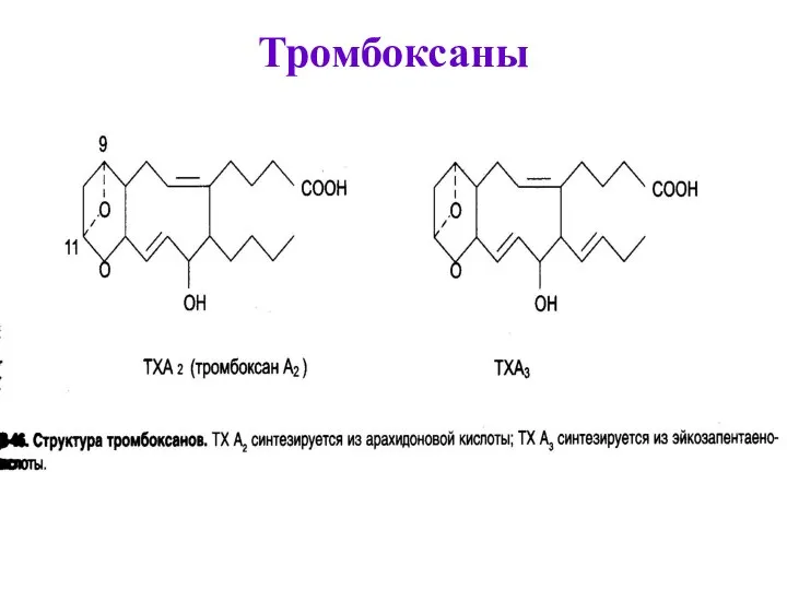 Тромбоксаны