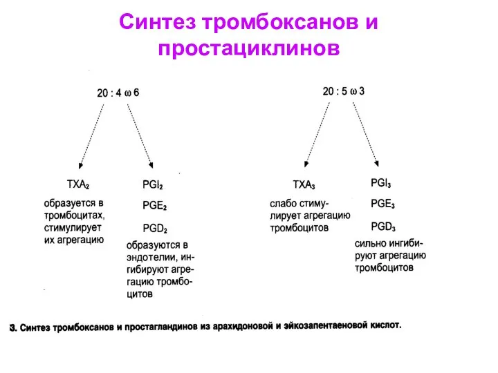 Синтез тромбоксанов и простациклинов