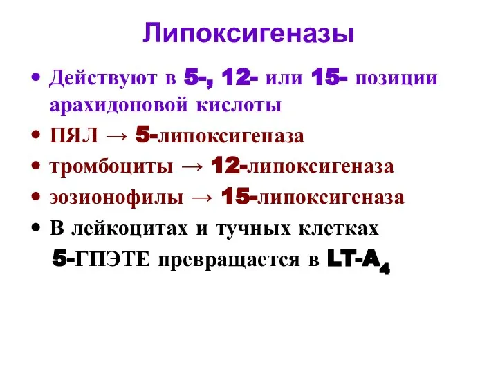 Липоксигеназы Действуют в 5-, 12- или 15- позиции арахидоновой кислоты ПЯЛ