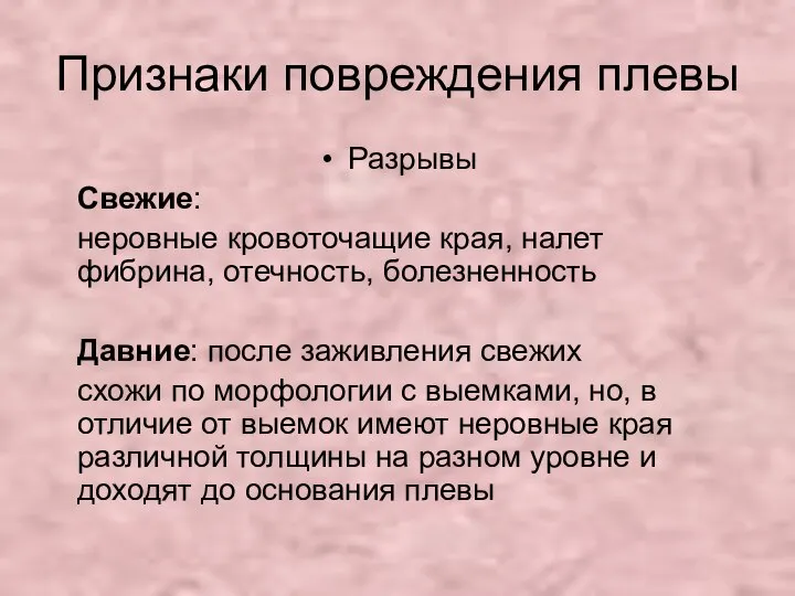 Признаки повреждения плевы Разрывы Свежие: неровные кровоточащие края, налет фибрина, отечность,