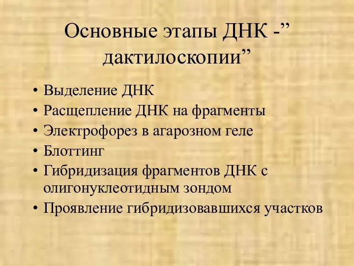 Основные этапы ДНК -”дактилоскопии” Выделение ДНК Расщепление ДНК на фрагменты Электрофорез