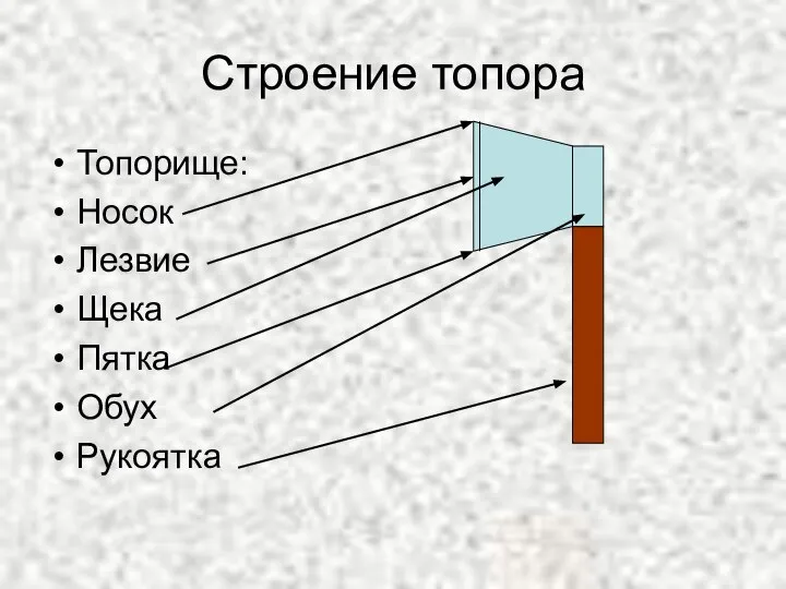 Строение топора Топорище: Носок Лезвие Щека Пятка Обух Рукоятка