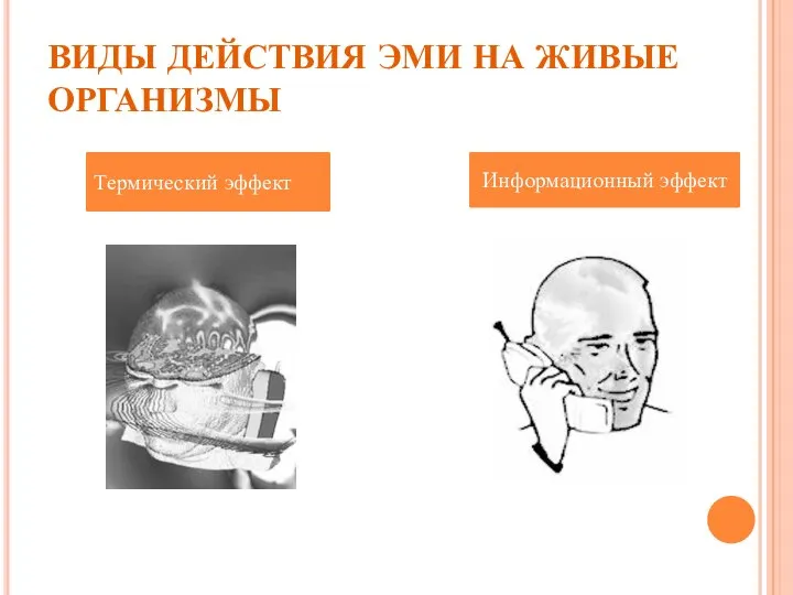 ВИДЫ ДЕЙСТВИЯ ЭМИ НА ЖИВЫЕ ОРГАНИЗМЫ Термический эффект Информационный эффект