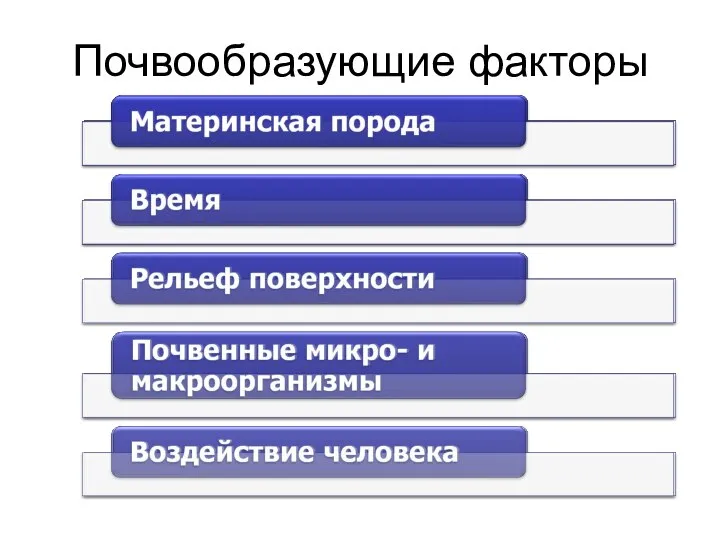 Почвообразующие факторы