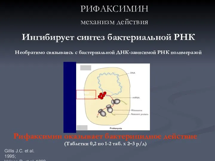 РИФАКСИМИН механизм действия Gillis J.C. et al. 1995; Vrijsen R. et