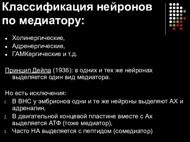 Классификация нейронов по медиатору: Холинергические, Адренергические, ГАМКергические и т.д. Принцип Дейла