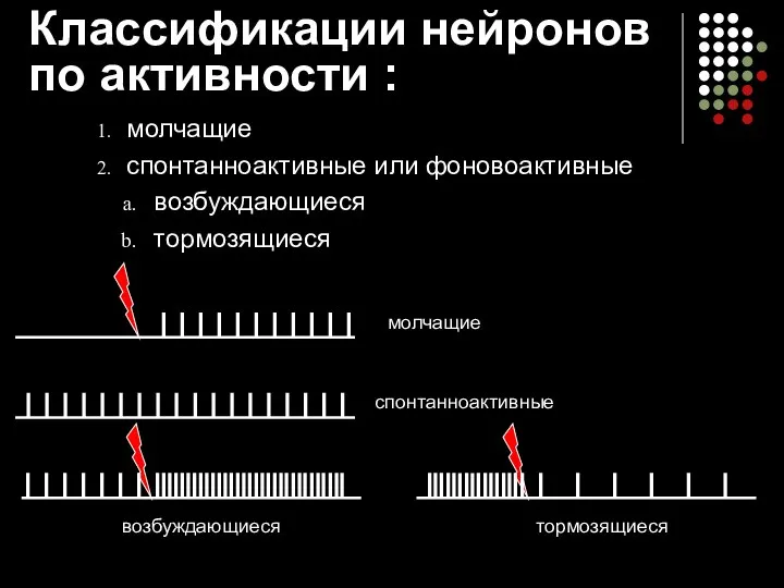 Классификации нейронов по активности : молчащие спонтанноактивные или фоновоактивные возбуждающиеся тормозящиеся