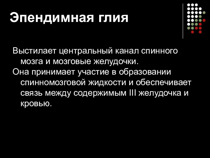 Эпендимная глия Выстилает центральный канал спинного мозга и мозговые желудочки. Она