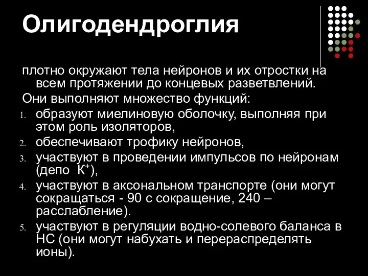 Олигодендроглия плотно окружают тела нейронов и их отростки на всем протяжении