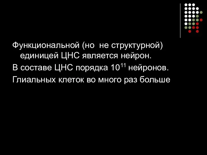 Функциональной (но не структурной) единицей ЦНС является нейрон. В составе ЦНС