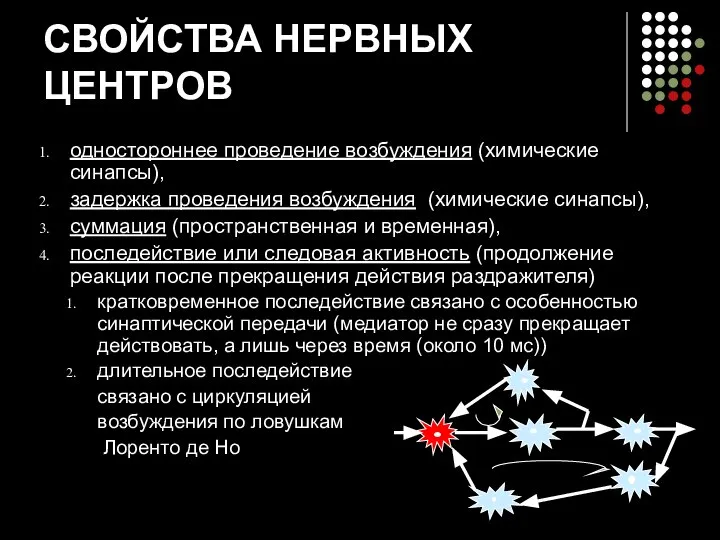 СВОЙСТВА НЕРВНЫХ ЦЕНТРОВ одностороннее проведение возбуждения (химические синапсы), задержка проведения возбуждения