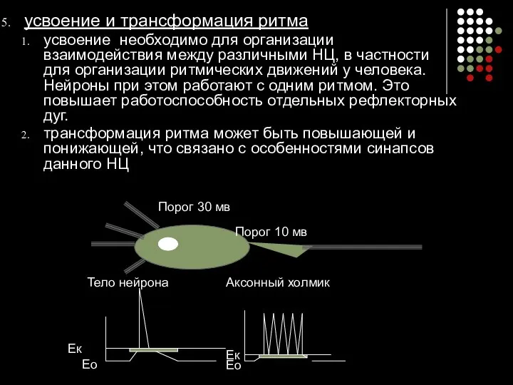 усвоение и трансформация ритма усвоение необходимо для организации взаимодействия между различными