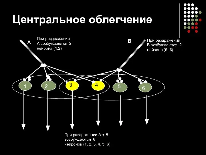 Центральное облегчение 1 2 3 4 5 6 А В При