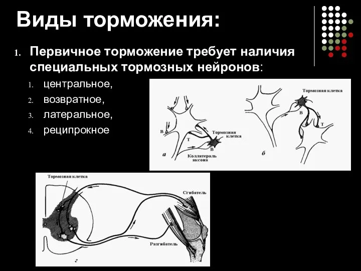 Виды торможения: Первичное торможение требует наличия специальных тормозных нейронов: центральное, возвратное, латеральное, реципрокное