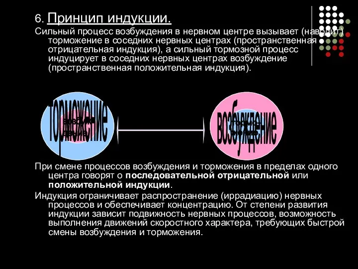 6. Принцип индукции. Сильный процесс возбуждения в нервном центре вызывает (наводит)