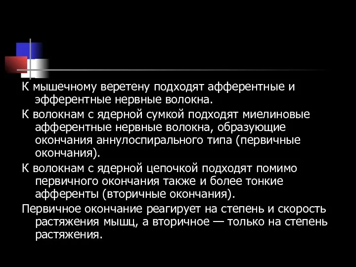 К мышечному веретену подходят афферентные и эфферентные нервные волокна. К волокнам