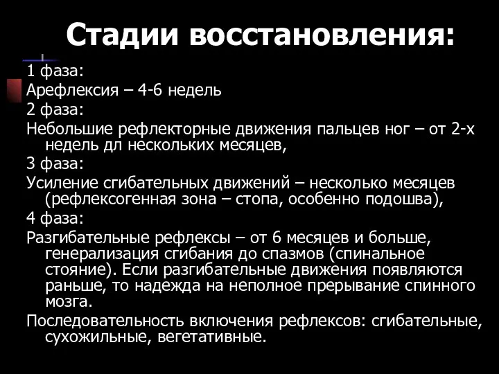 Стадии восстановления: 1 фаза: Арефлексия – 4-6 недель 2 фаза: Небольшие