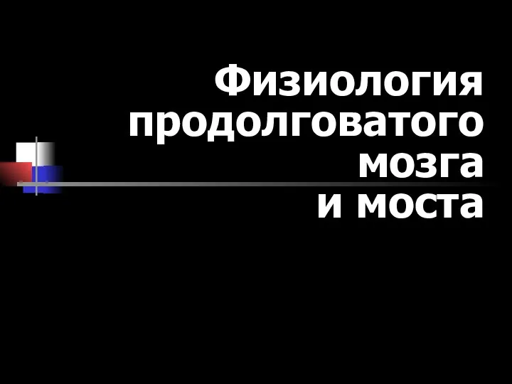 Физиология продолговатого мозга и моста