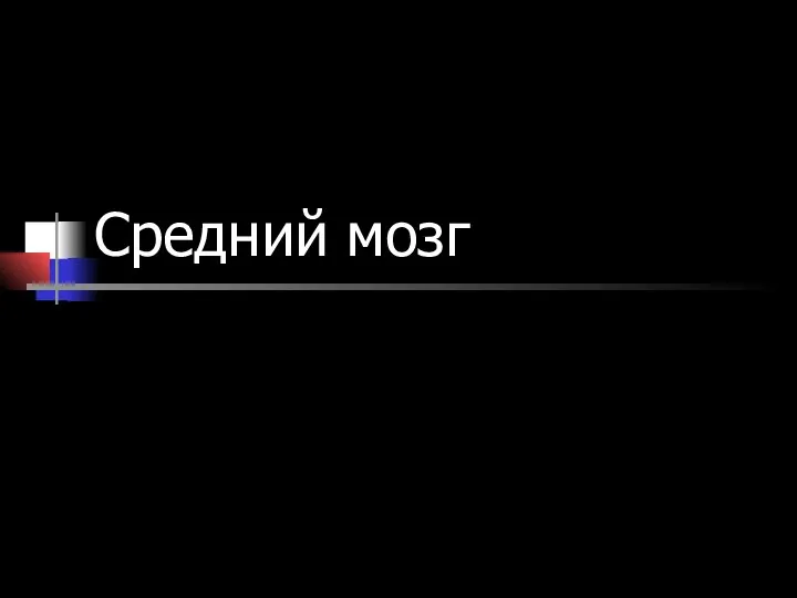 Средний мозг