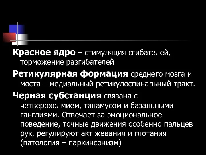 Красное ядро – стимуляция сгибателей, торможение разгибателей Ретикулярная формация среднего мозга