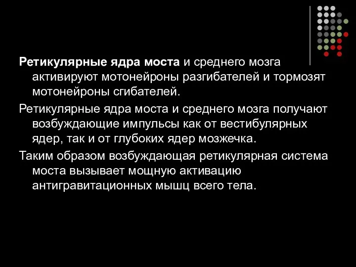 Ретикулярные ядра моста и среднего мозга активируют мотонейроны разгибателей и тормозят