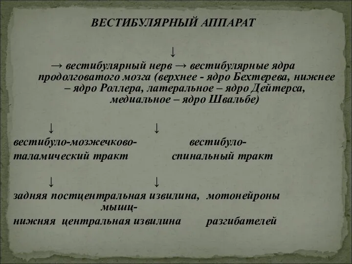 ВЕСТИБУЛЯРНЫЙ АППАРАТ ↓ → вестибулярный нерв → вестибулярные ядра продолговатого мозга