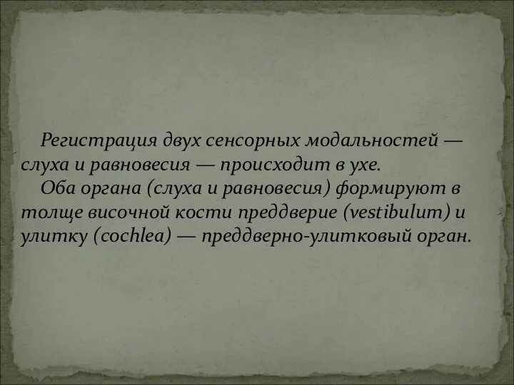 Регистрация двух сенсорных модальностей — слуха и равновесия — происходит в