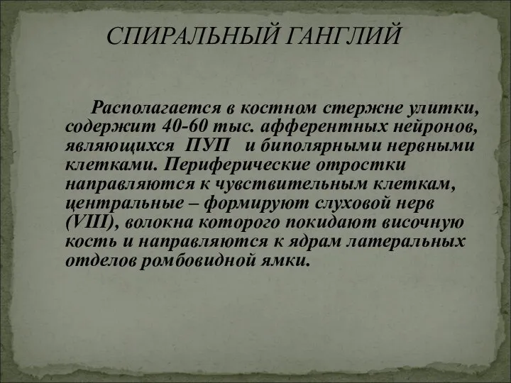 Располагается в костном стержне улитки, содержит 40-60 тыс. афферентных нейронов, являющихся