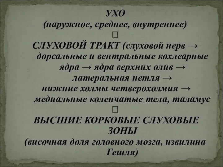 УХО (наружное, среднее, внутреннее) ? СЛУХОВОЙ ТРАКТ (слуховой нерв → дорсальные