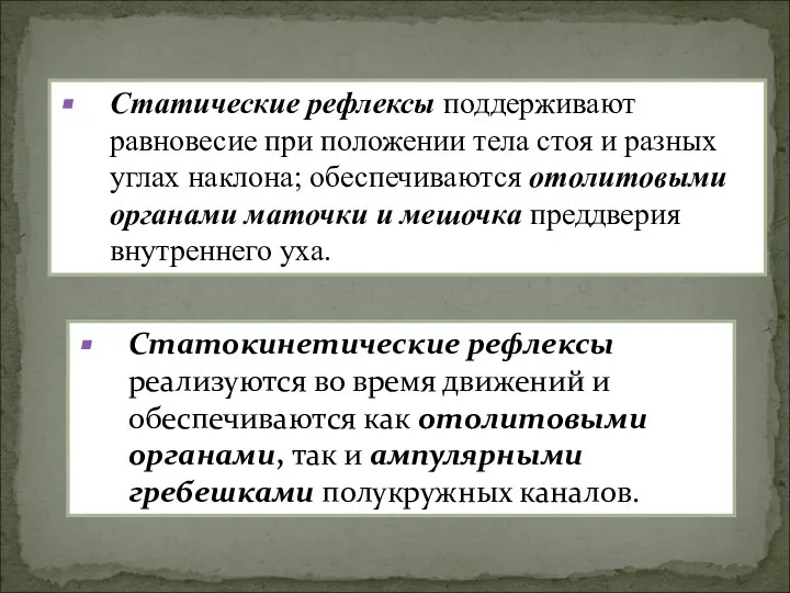 Статокинетические рефлексы реализуются во время движений и обеспечиваются как отолитовыми органами,