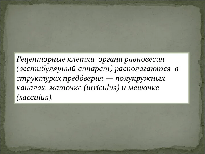 Рецепторные клетки органа равновесия (вестибулярный аппарат) располагаются в структурах преддверия —