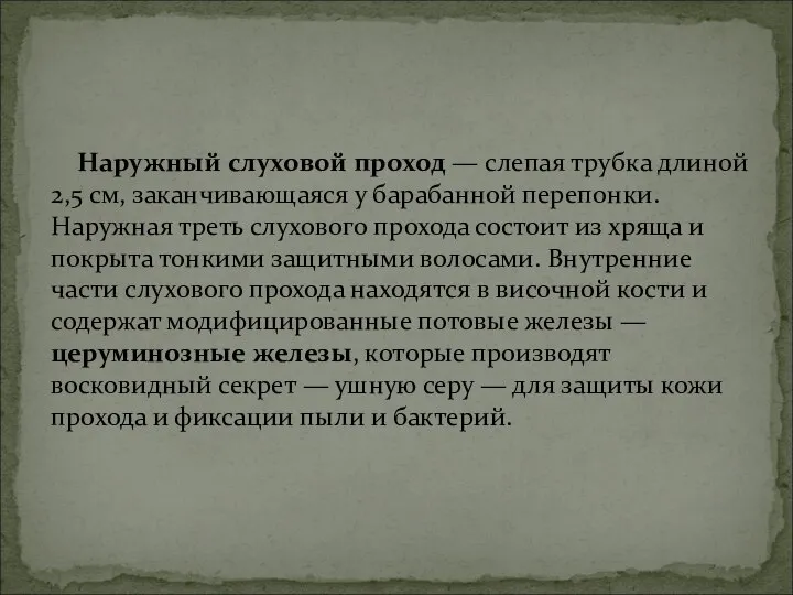 Наружный слуховой проход — слепая трубка длиной 2,5 см, заканчивающаяся у