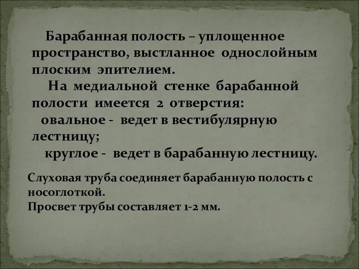 Барабанная полость – уплощенное пространство, выстланное однослойным плоским эпителием. На медиальной