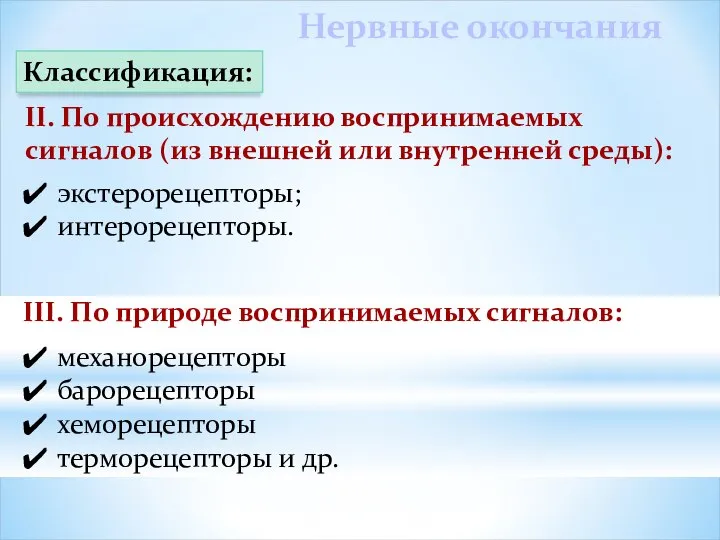 Нервные окончания Классификация: II. По происхождению воспринимаемых сигналов (из внешней или