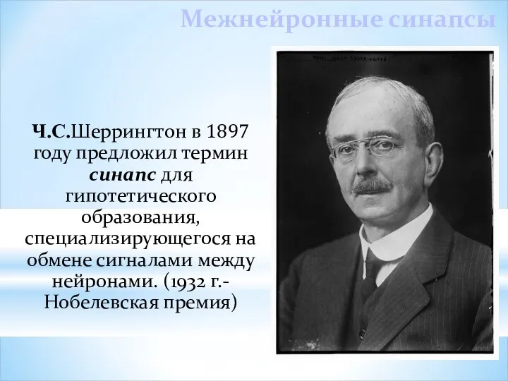 Межнейронные синапсы Ч.С.Шеррингтон в 1897 году предложил термин синапс для гипотетического