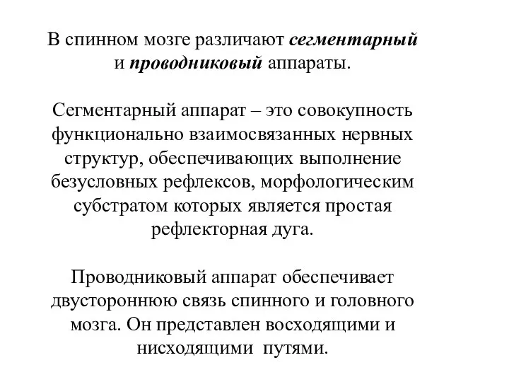 В спинном мозге различают сегментарный и проводниковый аппараты. Сегментарный аппарат –