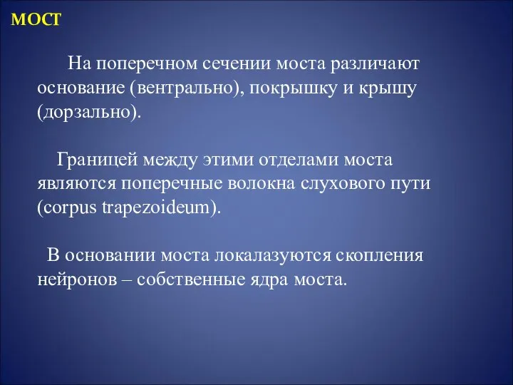 МОСТ На поперечном сечении моста различают основание (вентрально), покрышку и крышу