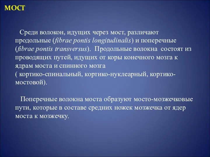 МОСТ Среди волокон, идущих через мост, различают продольные (fibrae pontis longitudinalis)