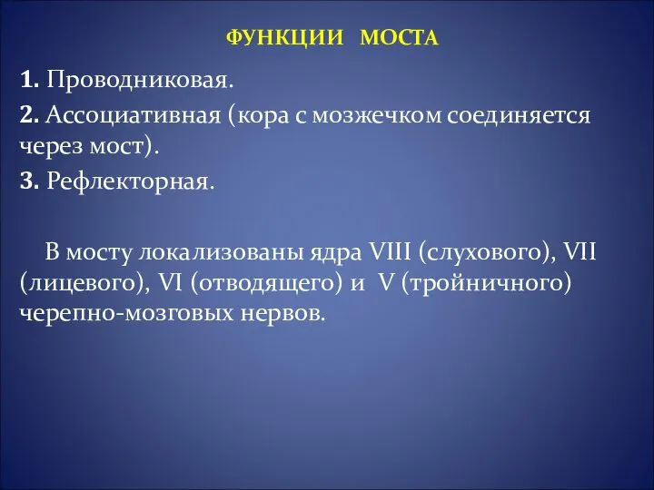 1. Проводниковая. 2. Ассоциативная (кора с мозжечком соединяется через мост). 3.