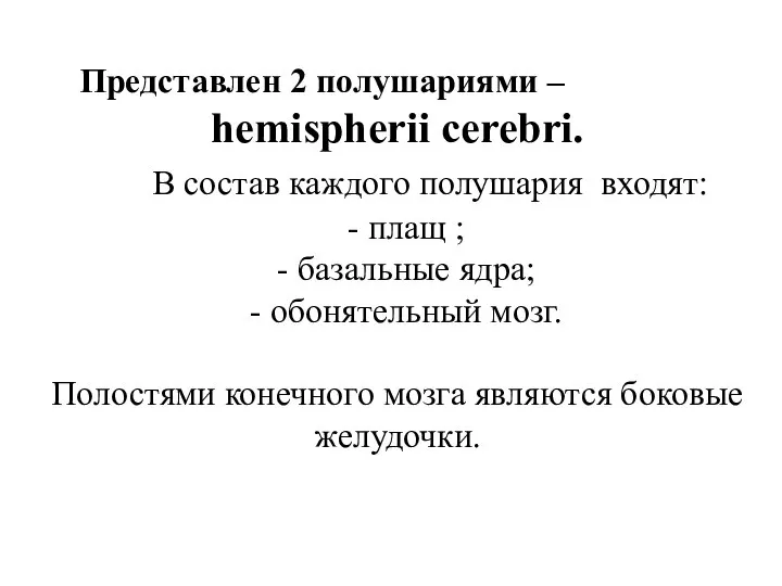 Представлен 2 полушариями – hemispherii cerebri. В состав каждого полушария входят: