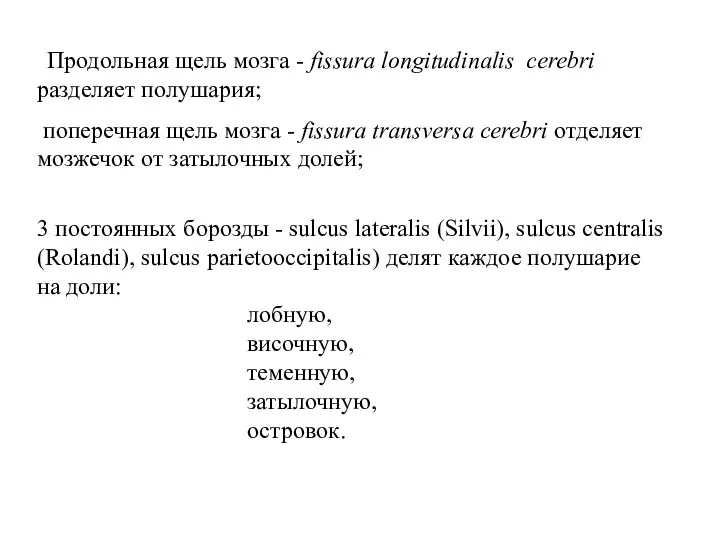 Продольная щель мозга - fissura longitudinalis cerebri разделяет полушария; поперечная щель