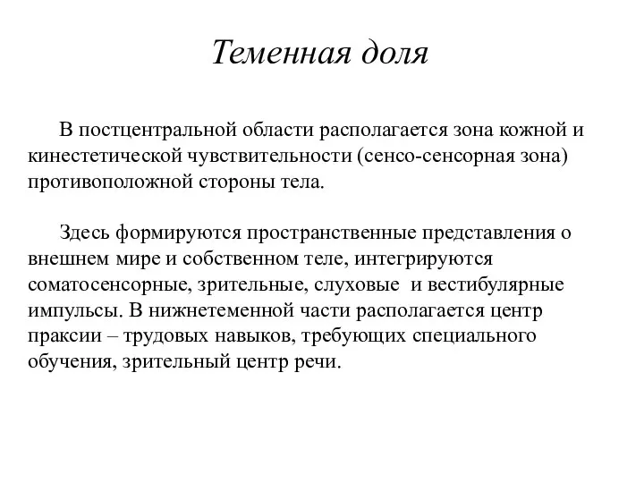 Теменная доля В постцентральной области располагается зона кожной и кинестетической чувствительности