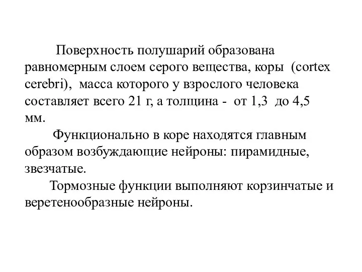 Поверхность полушарий образована равномерным слоем серого вещества, коры (cortex cerebri), масса