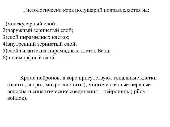 Гистологически кора полушарий подразделяется на: молекулярный слой; наружный зернистый слой; слой