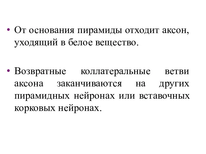 От основания пирамиды отходит аксон, уходящий в белое вещество. Возвратные коллатеральные